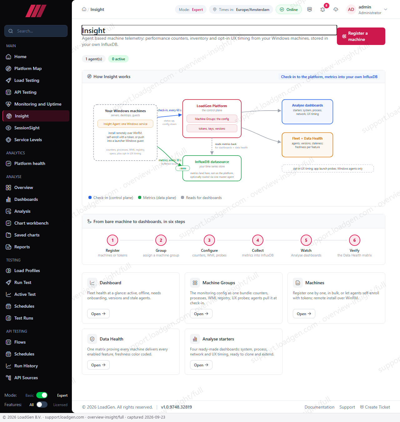 Main: Insight, full page