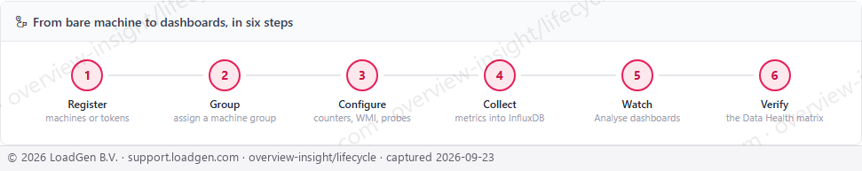 Main: Insight, lifecycle strip